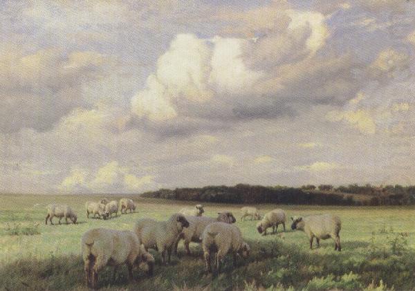 Upland Pastures (mk37), wright barker